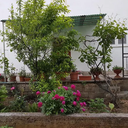 With Parking Space - 12695 公寓