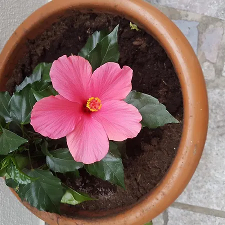 With Parking Space - 12695 *