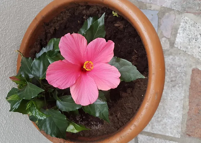 With Parking Space - 12695 *